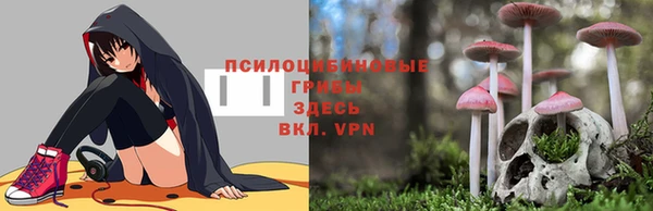 индика Абинск