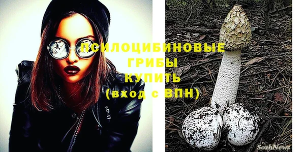 индика Абинск