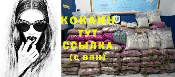 индика Абинск