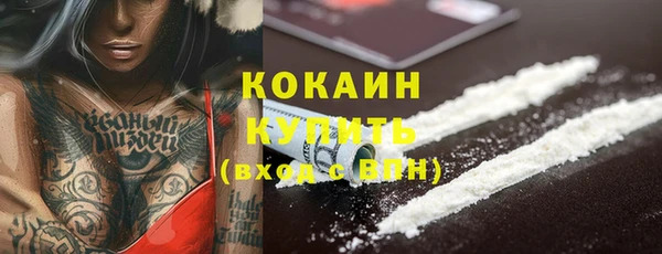 индика Абинск